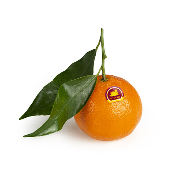 otello Clementine