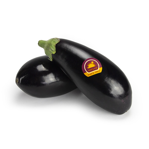 otello Aubergine