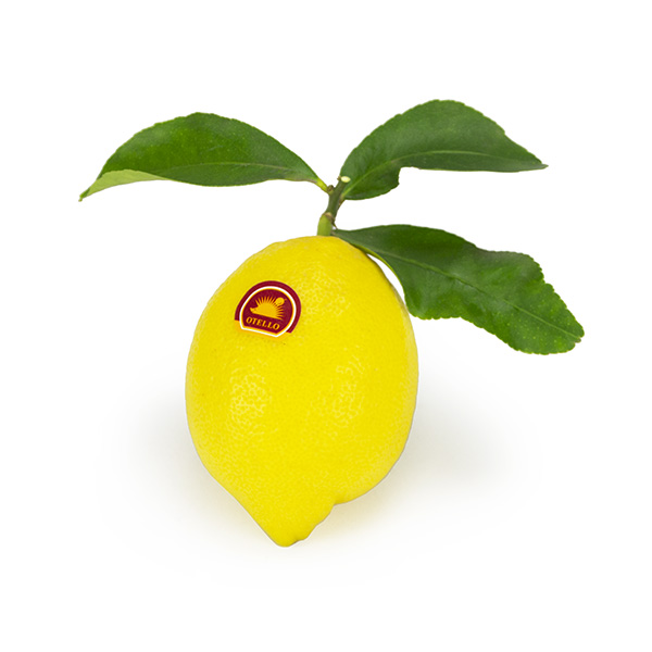 otello Zitrone
