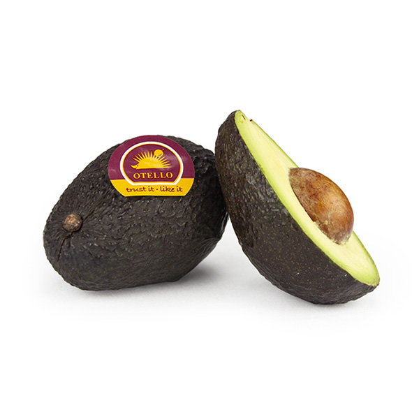 otello Avocado