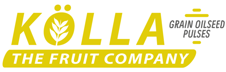 Logo Titel KÖLLA Grain Oilseed Pulses